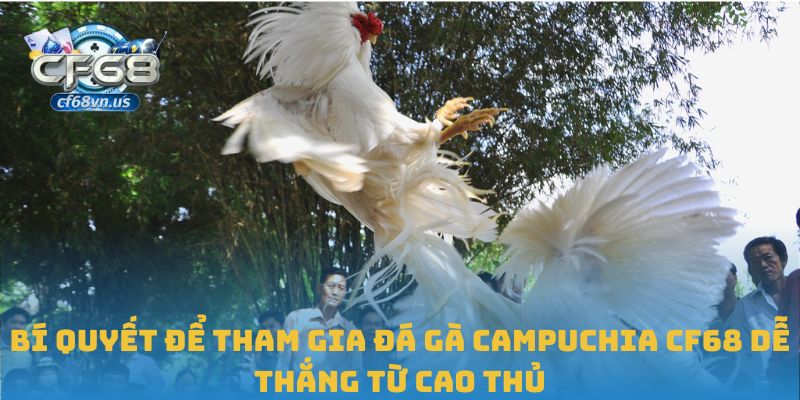 Bí quyết để tham gia đá gà Campuchia CF68 dễ thắng từ cao thủ