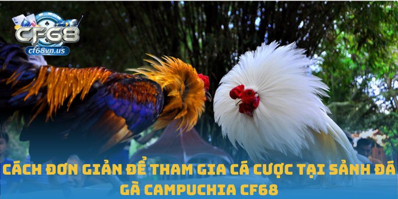Cách đơn giản để tham gia cá cược tại sảnh đá gà Campuchia CF68