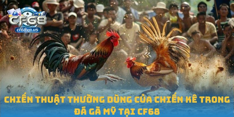Chiến thuật thường dùng của chiến kê trong đá gà Mỹ tại CF68