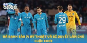 đá banh sân 7