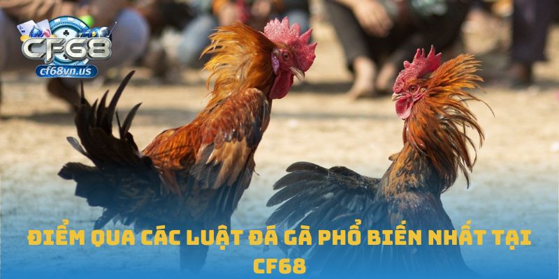 Điểm qua các luật đá gà phổ biến nhất tại CF68