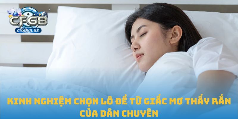 Kinh nghiệm chọn lô đề từ giấc mơ thấy rắn của dân chuyên