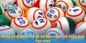 Nuôi lô đề
