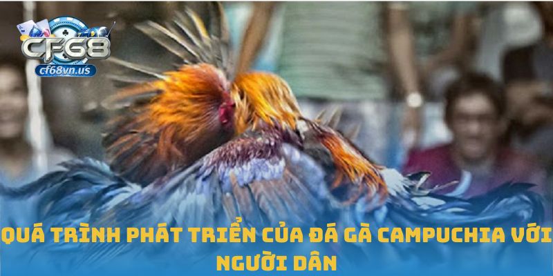 Quá trình phát triển của đá gà Campuchia với người dân