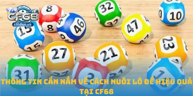 Thông tin cần nắm về cách nuôi lô đề hiệu quả tại CF68