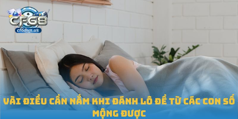 Vài điều cần nắm khi đánh lô đề từ các con số mộng được