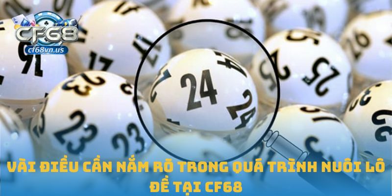 Vài điều cần nắm rõ trong quá trình nuôi lô đề tại CF68