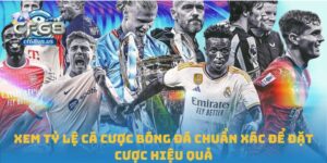 Xem tỷ lệ cá cược bóng đá