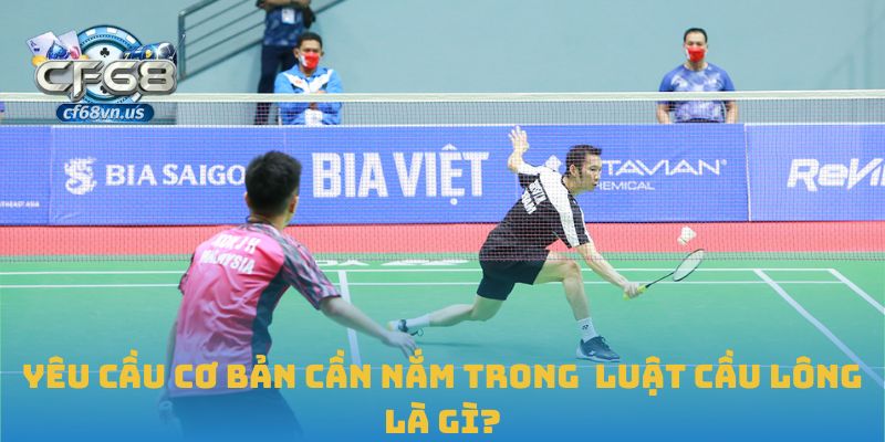 Yêu cầu cơ bản cần nắm trong luật cầu lông là gì?